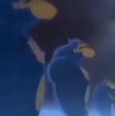 BeelcitosMemes - Video #0672