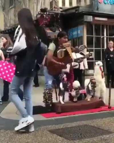 Музыкальный коллектив