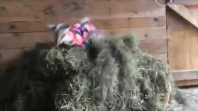 Silly Kids wearing Pajamas (Kids these Days!)