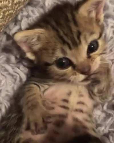 I clean myself to look booful