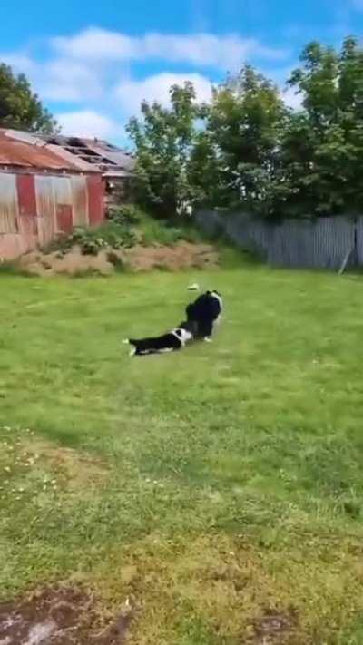 Весёлая игра