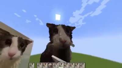 sogogyygsysogsgisygspoosgyssoyysogygyys