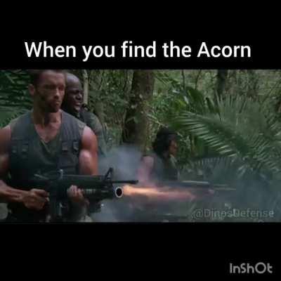Found the Acorn, smoke em
