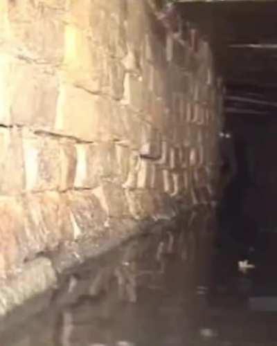 more voids for your enjoyment