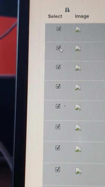 I finished the multiple selection website, boss.