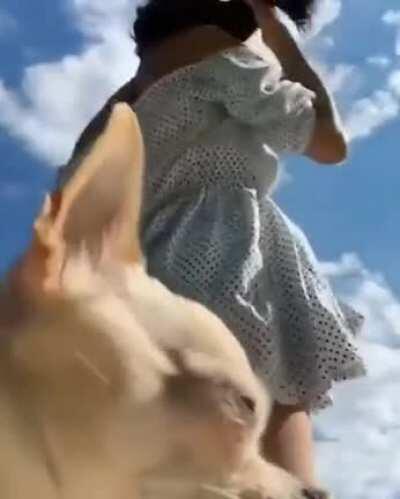 Alguém tem alguma informação?