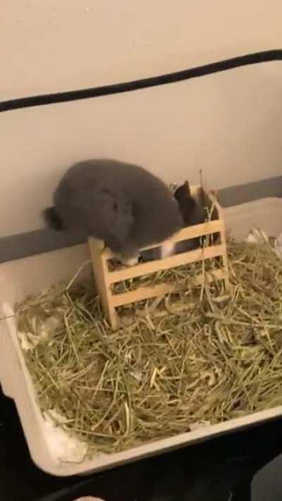 His new style of eating