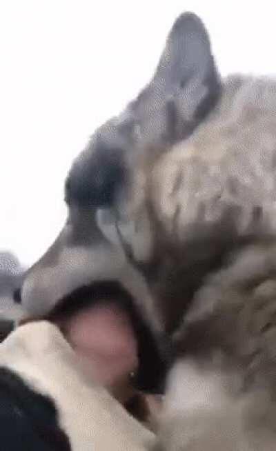 Pyro finally living his sexual fantasies