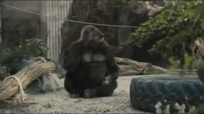 Stand To Your Bully, Never Give Up