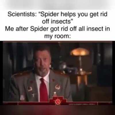 Spiders