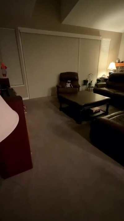 This actually made me jump out my chair 