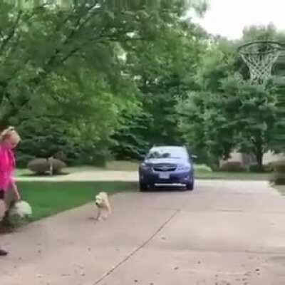 Весело у них там