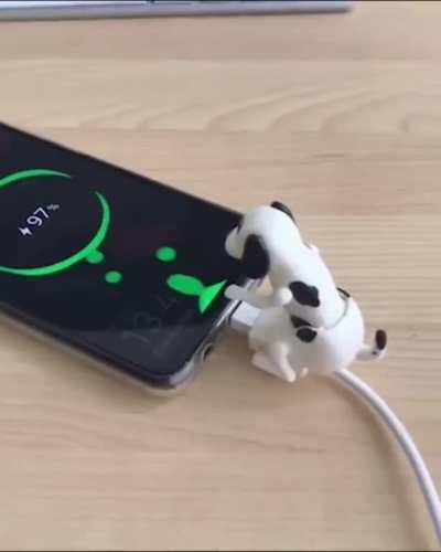 This is how they make Dogecoin.