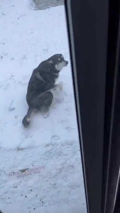 Not a regular bus trip 