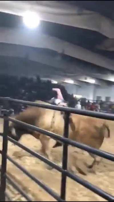 When the bull forces you to go crowd surfing