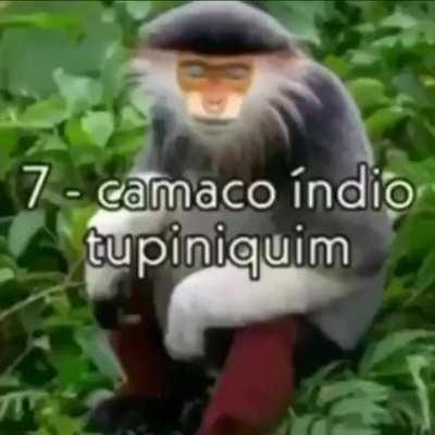 se gostou escreve no anal dexa o laik e ativa o cirilo