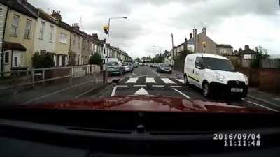 Safety minded cat uses pedestrian crossing on busy road