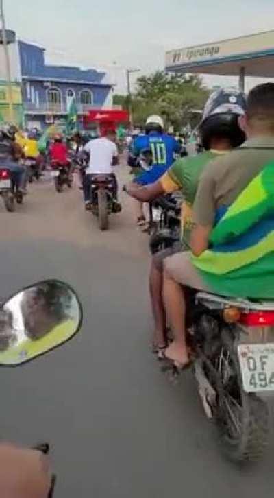 Cachorro caramelo não é gado