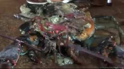 She breaks her Sandals by flattening poor Lobster