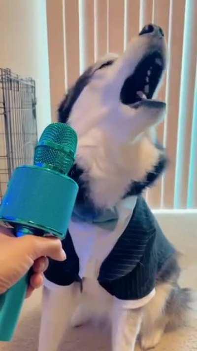 Husky on Autotune