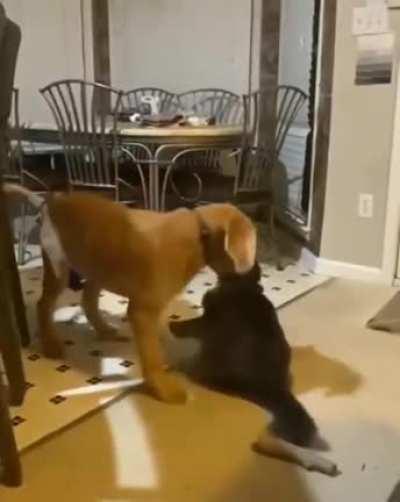 When you like to bully.