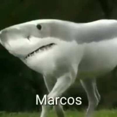 Marcos 😳😳😳😳😳😳