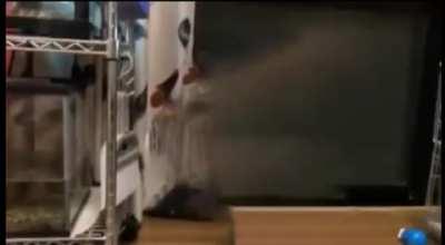 I'm 15 and this is yeet