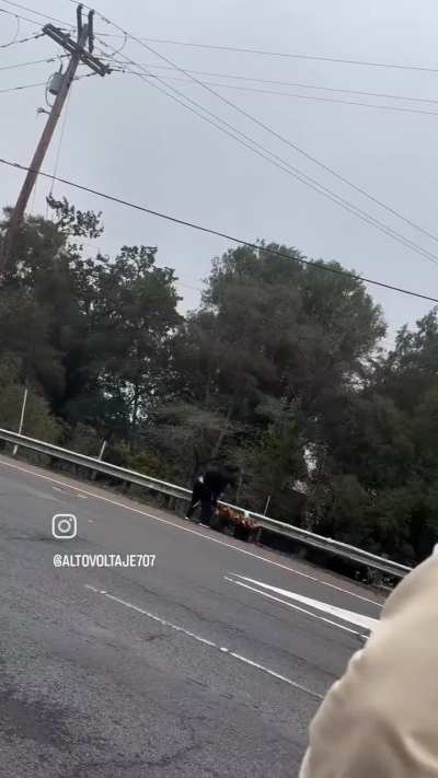 Lazy MAGA begging for $500 for rent proceeds to harass and assault a hard-working migrant selling flowers