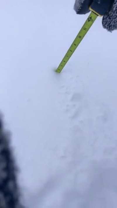 Trying to measure snow (not mine)