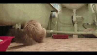 It's a drag race in here.