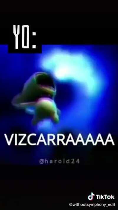 VIZCARRA