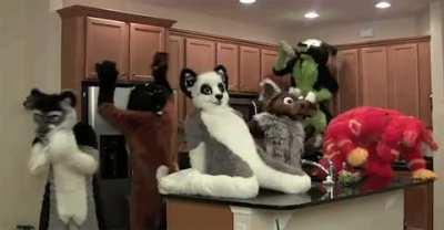 THE FURRIES AFTER BLIZZARD NEW RACE ANNOUNCEMENT: