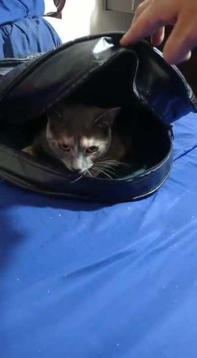 ¡My bASS teacher found this inside his bag!