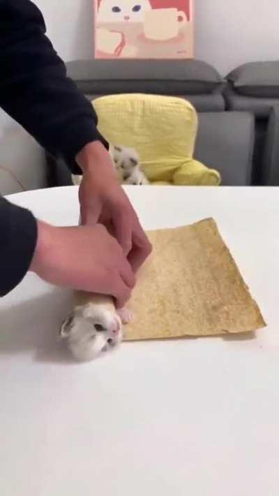 he's gonna be atedð¿