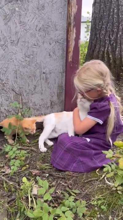 Kitty introduces her kittens to her friend..
