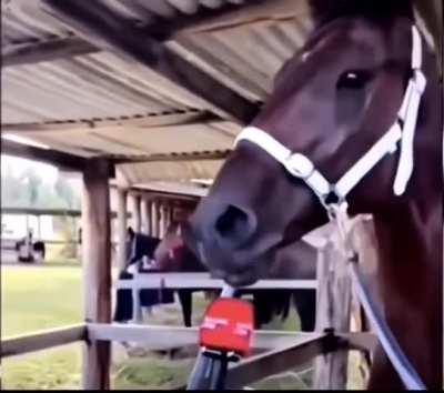 Palabras que destrozaron al mundo