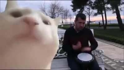 Instead of flying #AMC banners above hedge funds, play this song on all the speakers in their building. Phycological warfare.