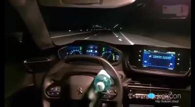 2 guys from Romania abusing the autopilot system