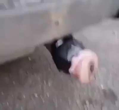 I’m fucking crying, who the fuck did this lmao