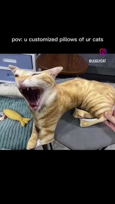 OGRHTOGHLHFLVFLDGVFL