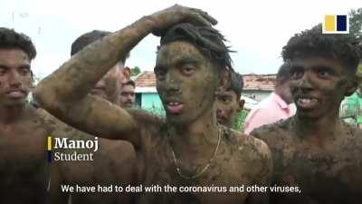 Cow dung festival in India.