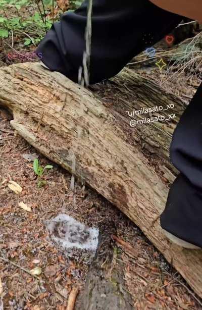 Had to pee during a hike