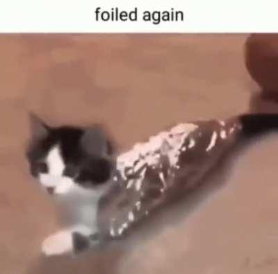 He was in fact foiled