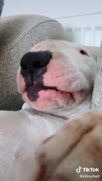 he really just said “Å”