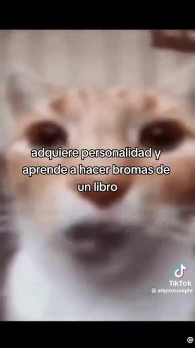 No es gracioso no me rei