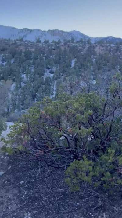 First hike together went well..