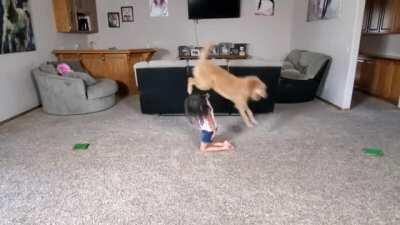 Little girl does gymnastics with her dog