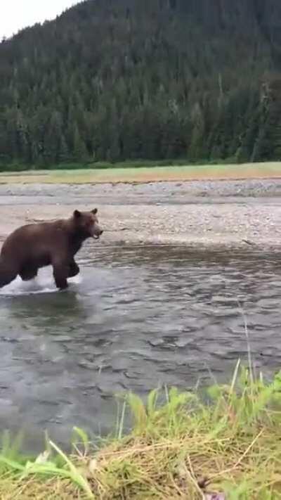 Meanwhile in Alaska