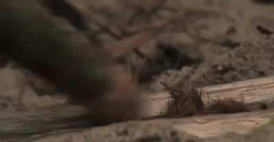 Bad Foley - Cast Away