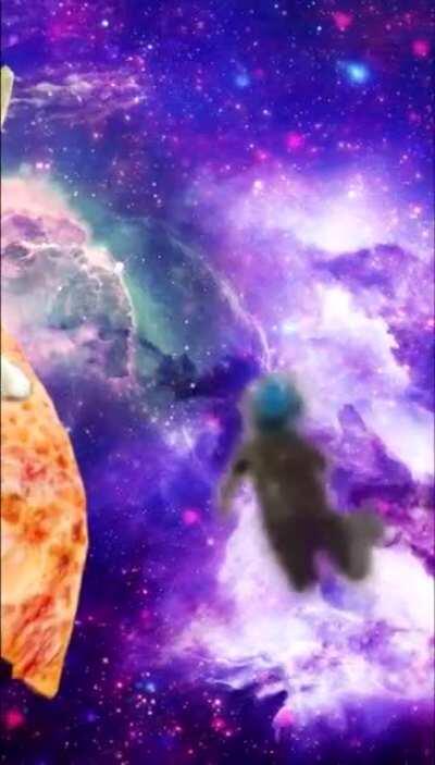 This kid doesn’t fall down it falls UP